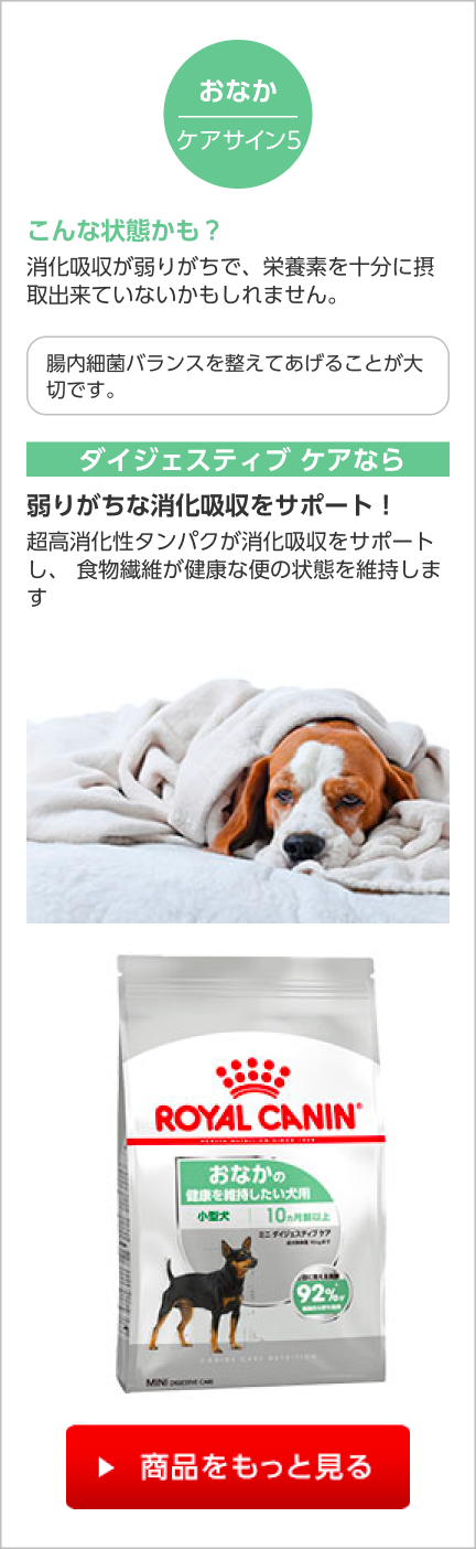 ケアサイン5 おなか　消化吸収が弱りがちで、栄養素を十分に摂取出来ていないかもしれません。
ダイジェスティブ ケアなら　弱りがちな消化吸収をサポート！