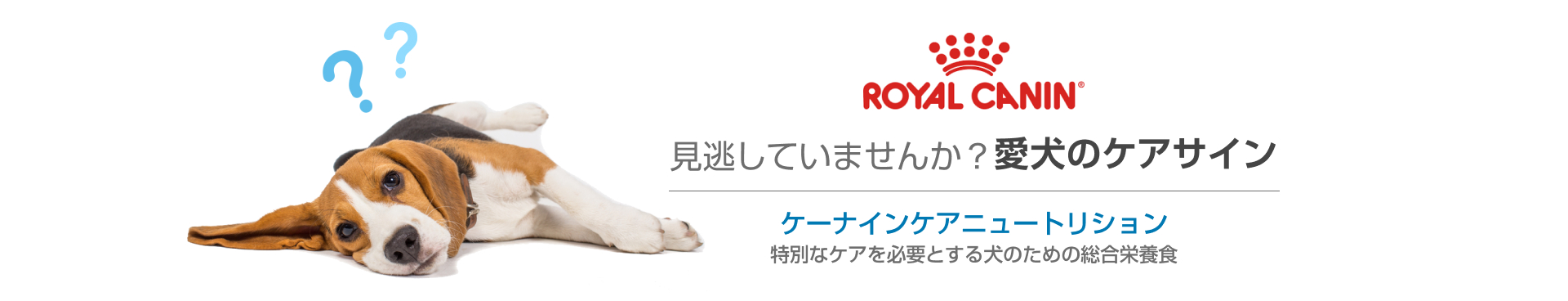 ロイヤルカナン ケーナインケアニュートリション